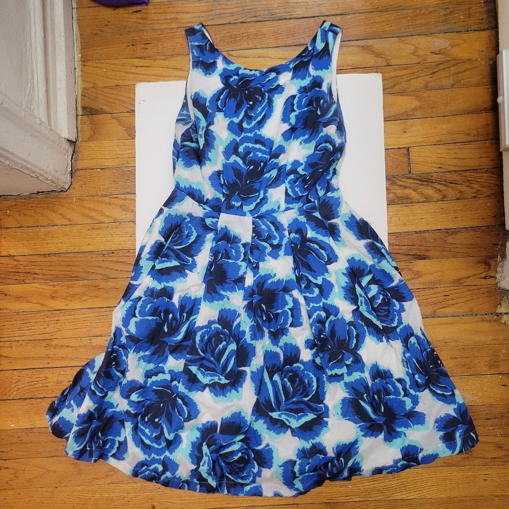 Anthropologie‎ Porridge Rosebloom sleeveless fit&flare midi dress EUC